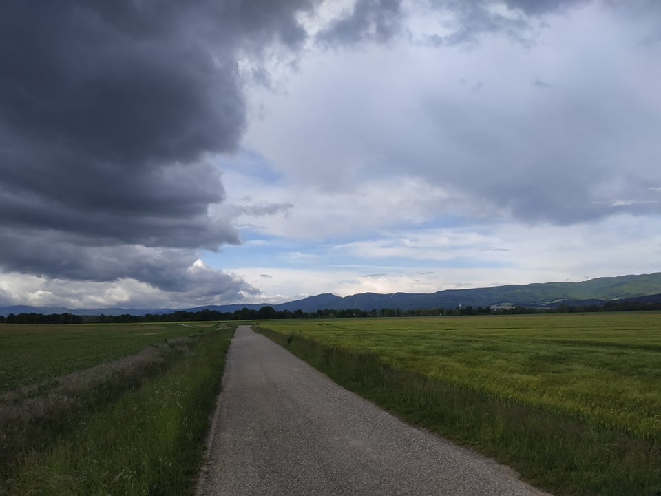 cesta